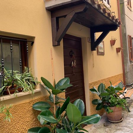B&B Casa Di Carla Ripatransone Exteriör bild